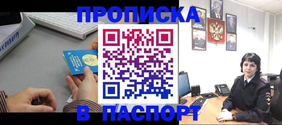 прописка в Бабаево